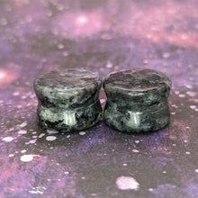 Charger l'image dans la galerie, 17mm Larvikite plugs