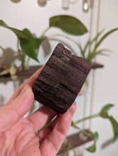 Charger l'image dans la galerie, Petrified druzy wood from Germany custom plugs