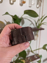 Charger l'image dans la galerie, Petrified druzy wood from Germany custom plugs