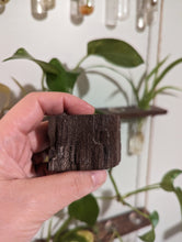 Charger l'image dans la galerie, Petrified druzy wood from Germany custom plugs