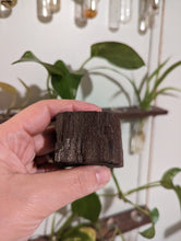 Charger l'image dans la galerie, Petrified druzy wood from Germany custom plugs
