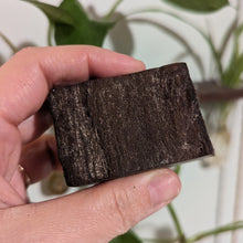 Charger l'image dans la galerie, Petrified druzy wood from Germany custom plugs