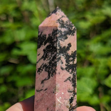 Charger l'image dans la galerie, Rhodonite custom plugs