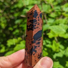 Charger l'image dans la galerie, Mahogany Obsidian custom plugs