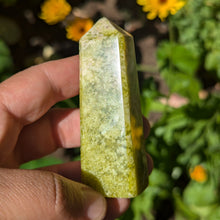 Charger l'image dans la galerie, Shah Maghsoud custom plugs 2