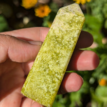 Charger l'image dans la galerie, Shah Maghsoud custom plugs 2