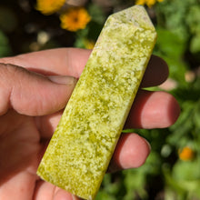 Charger l'image dans la galerie, Shah Maghsoud custom plugs 2