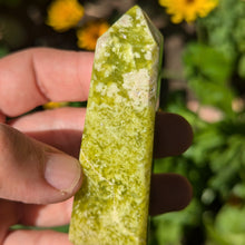 Charger l'image dans la galerie, Shah Maghsoud custom plugs 2