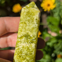 Charger l'image dans la galerie, Shah Maghsoud custom plugs 2