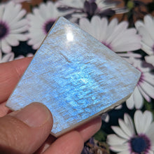 Charger l'image dans la galerie, Belomorite custom plugs