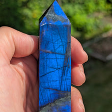 Charger l'image dans la galerie, Dark Blue Labradorite custom plugs