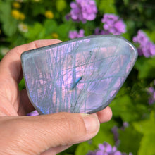 Charger l'image dans la galerie, Purple pink Labradorite custom plugs
