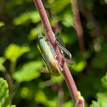 Charger l'image dans la galerie, Larsonite hair clip