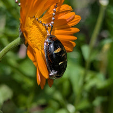 Charger l'image dans la galerie, Nuummite in 925 silver star bezel pendant #2