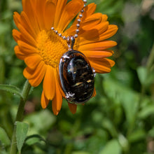 Charger l'image dans la galerie, Nuummite in 925 silver star bezel pendant #2