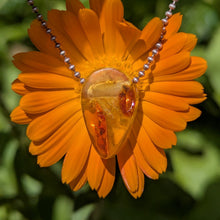 Charger l'image dans la galerie, Amber teardrop pendulum pendant