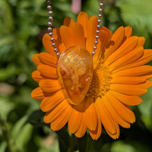 Charger l'image dans la galerie, Amber teardrop pendulum pendant