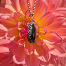 Load image into Gallery viewer, Nuummite in 925 silver bezel pendant #3