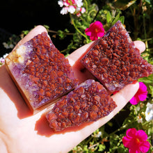 Charger l'image dans la galerie, Amethyst with Hematite druzy custom plugs