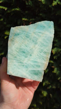 Charger et lire la vidéo dans la visionneuse de la Galerie, Australian Aquamarine custom made to order plugs