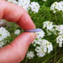 Charger l'image dans la galerie, Hackmanite periwinkle bunny cabochon