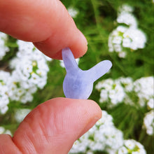 Charger l'image dans la galerie, Hackmanite periwinkle bunny cabochon