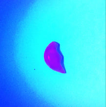 Charger l'image dans la galerie, Hackmanite periwinkle moon cabochon