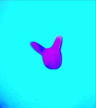 Charger l'image dans la galerie, Hackmanite periwinkle bunny cabochon