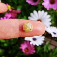Charger l'image dans la galerie, Hackmanite cabochon 2