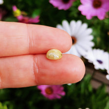 Charger l'image dans la galerie, Hackmanite cabochon 3