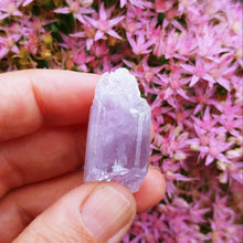Indlæs billede til gallerivisning Kunzite raw piece