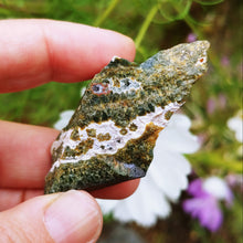 Load image into Gallery viewer, Ocean Jasper raw piece