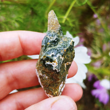 Load image into Gallery viewer, Ocean Jasper raw piece