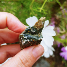 Load image into Gallery viewer, Ocean Jasper raw piece