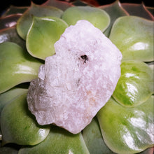 Load image into Gallery viewer, Rare baby pink Ussingite mineral specimen