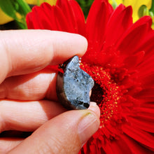 Charger l'image dans la galerie, Larvikite wing pendant