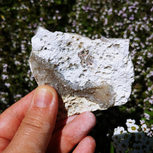 Load image into Gallery viewer, Amethyst 'dish' #2