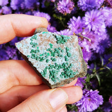 Ladda upp bild till gallerivisning, Cute Malachite spheres on Dolomite