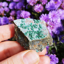 Ladda upp bild till gallerivisning, Cute Malachite spheres on Dolomite