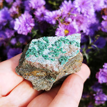 Ladda upp bild till gallerivisning, Cute Malachite spheres on Dolomite