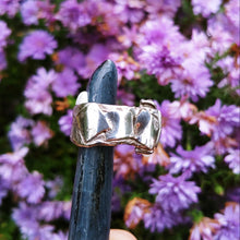 Load image into Gallery viewer, Destash - Dendritic Agate ring size 6