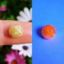 Charger l'image dans la galerie, Hackmanite cabochon 2