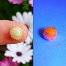 Charger l'image dans la galerie, Hackmanite cabochon 3