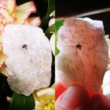 Load image into Gallery viewer, Rare baby pink Ussingite mineral specimen