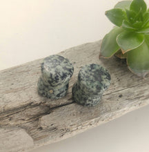 Charger l'image dans la galerie, 7/16" Beach stone plugs