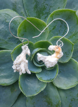 Load image into Gallery viewer, Coral 925 silver ear weights