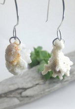 Load image into Gallery viewer, Coral 925 silver ear weights
