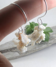 Load image into Gallery viewer, Coral 925 silver ear weights