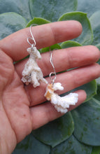 Load image into Gallery viewer, Coral 925 silver ear weights