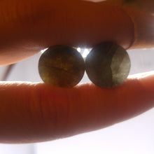 Charger l'image dans la galerie, 7/16" Forest Crystal plugs